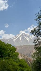 روز مازندران مبارک