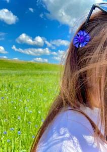 سر زمین سبز