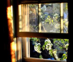 برای هم خوب بخواهیم