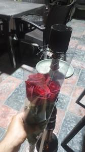 دسته گل تقدیم به عشقم قلیون 💎