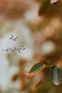 سلام ظهربخیرعزیزان🍁🌹