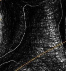 میشناسمت⚘️