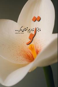 سلام دوستان 