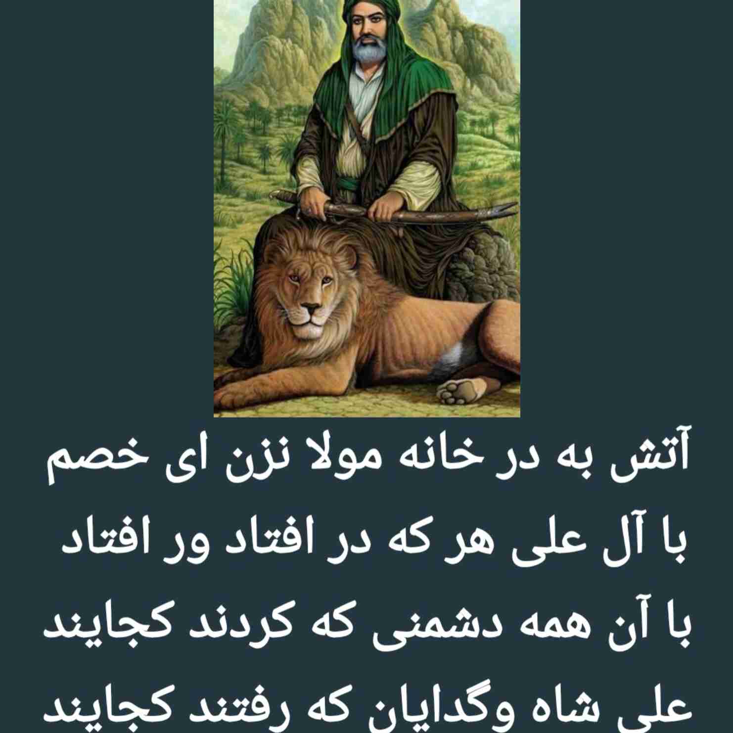 مولا فقط امیر المؤمنین است👑