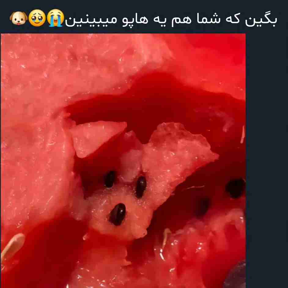 بگین آره 😂😂