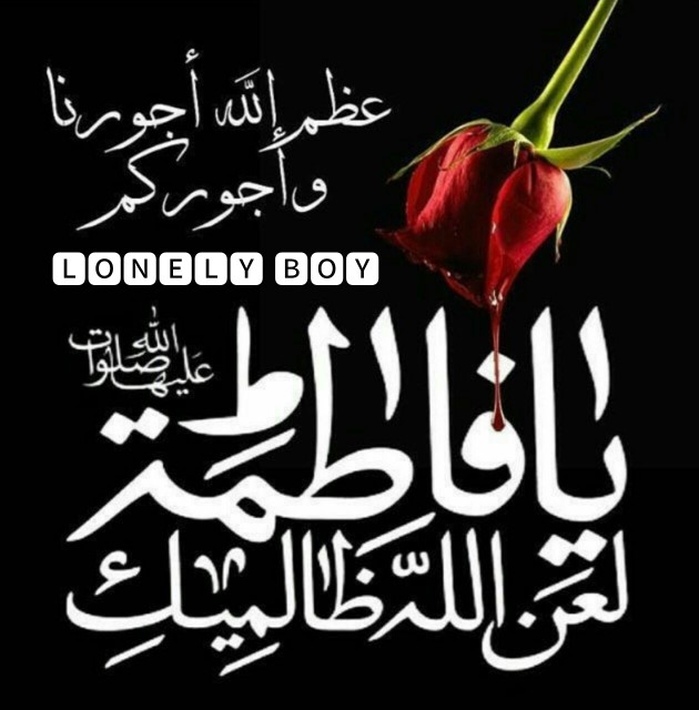 🖤🖤🖤🖤🖤🖤🖤