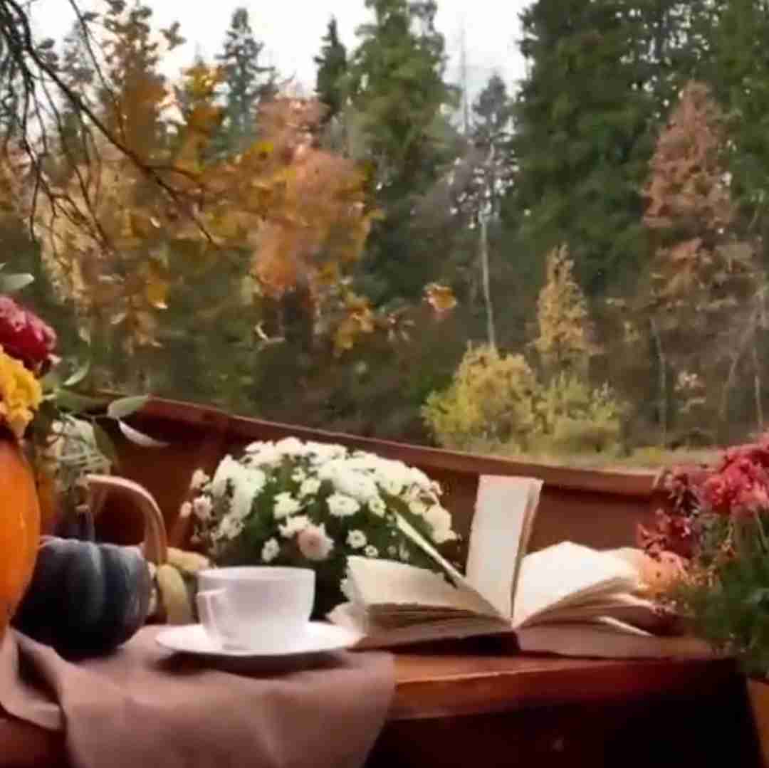 برایم مهم نیست
مردم این شهر
وقتى ترانه هاى دلتنگى ام را میخوانند
چه میگویند
و چه قدر فکر میکنند
آن که هر روز
رویاهاى شکسته اش را جمع میکند
غمگینست...!
مهم اینست
که یک لحظه
با دل تنگى هایم
زیر آسمان خدا بنشینم
و اندیشه هایم را
به دست باد بسپارم ..