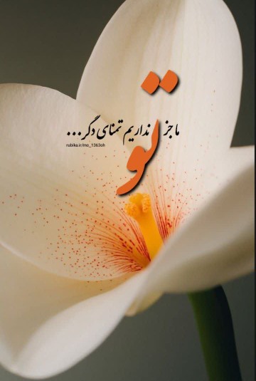 سلام دوستان 