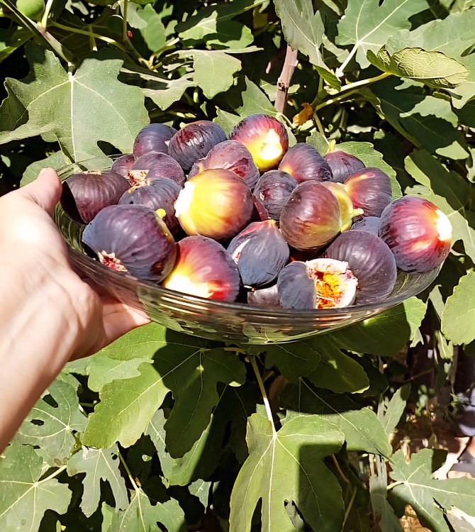 خدایااا منو ببخش که با وجود تو غمگینم🥺