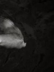 لایک نکن رفیق پازل 1