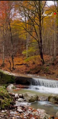 💚ملک مازرون🤎🧡💛 بهشت ایرون