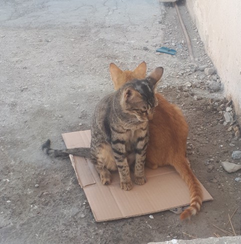 ای کاش امروز رو قهر نمیکردی 