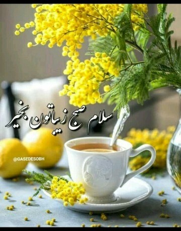 سلام خوبی صبح بخیر انشاالله همیشه شاد باشی انشاالله 