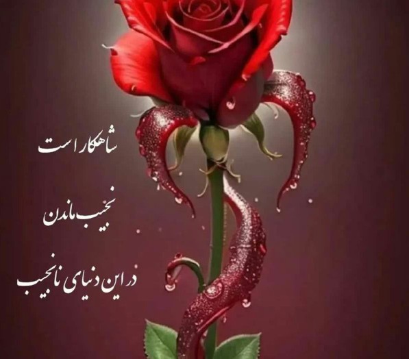 سلام وقت بخیردوستان جان🌹♥