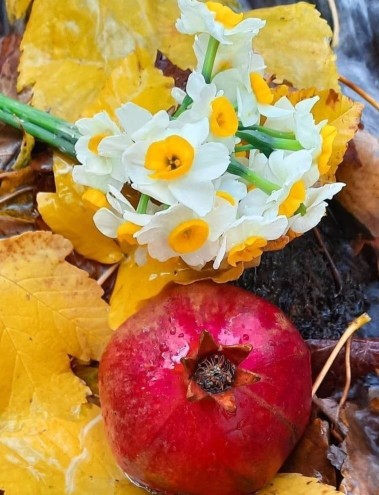 من برای متنفر بودن از کسانی که از من متنفرند وقتی ندارم..