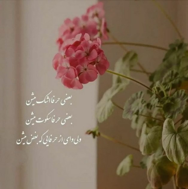 بعضی حرفا اشک میشن
بعضی حرفا سکوت میشن ولی وای از حرفایی ...