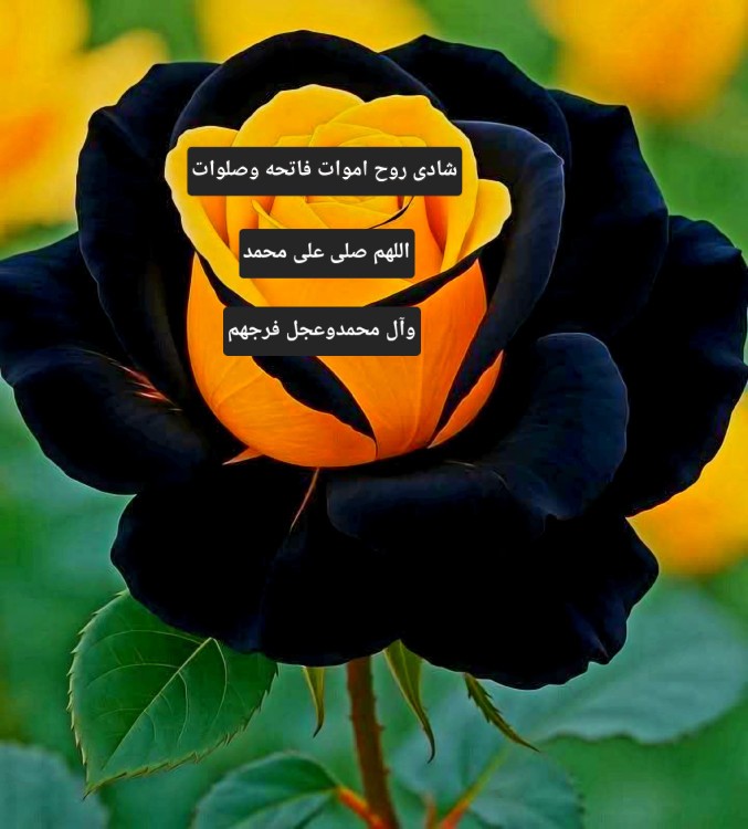 عصرپنجشنبه🥀🍂تا ابد یاد عزیزان ز دل و جان نرود
🕯جان اگر
