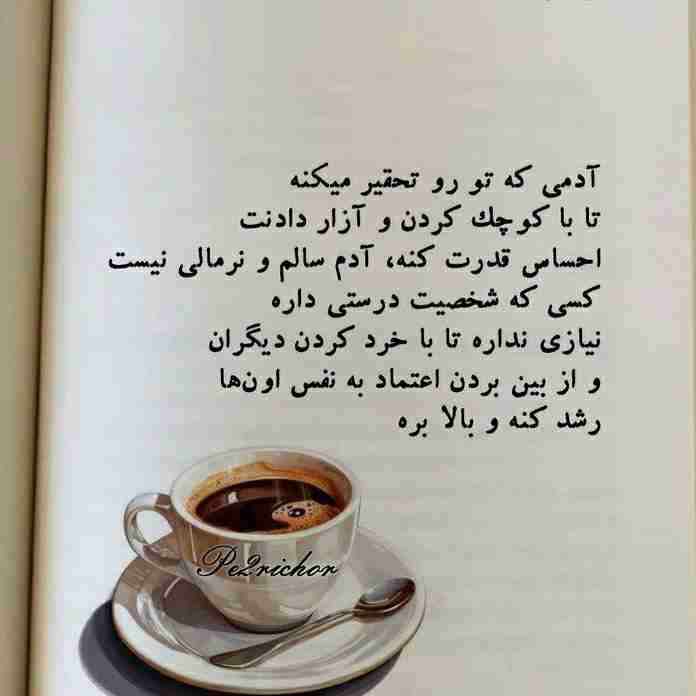 آدمی که تو رو تحقیر میکنه تا با کوچک کردن و آزار دادنت احساس قدرت کنه  ؛ آدم سالم و نرمالی نیست ....