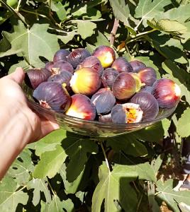 خدایااا منو ببخش که با وجود تو غمگینم🥺