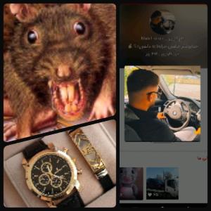 رُندیت مبارک سلطان گپ🐭💐🐭💐🐭✌️🔥