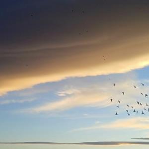 روزای جالبی نیست اما صبر میکنم ...!  _1404/8/15_📷🤞