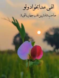 الـــــهۍ....