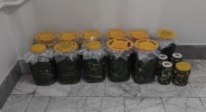 امروز درستش کردم 