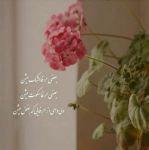 بعضی حرفا اشک میشن
بعضی حرفا سکوت میشن ولی وای از حرفایی ...