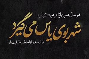 اَلسَّلامُ عَلَیکمْ یا اَهْلَ بَیتِ النُّبُوَّة