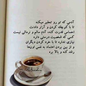 آدمی که تو رو تحقیر میکنه تا با کوچک کردن و آزار دادنت احساس قدرت کنه  ؛ آدم سالم و نرمالی نیست ....