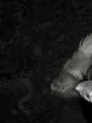 لایک نکن رفیق پازل 3