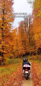 مگه میشه پاییز باشه و تو نباشی🤎🧡💛