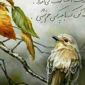 مجاورت، مشابهت می‌آورد

دقت کن که با چه کسی هم‌نشینی