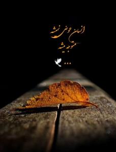 آخر هفته تون دلنواز... 🤞🕊🍁
