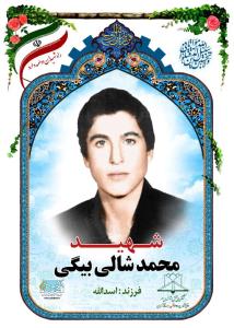 شهدا را یاد کنیم با ذکر یک صلوات.