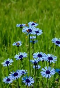 ‹بِسْــم‌ِاللَّھ‌ِ‌الرَّحمَٰن‌ِالرَّحِیمِ›

•ذکرروز پنجشنبه 