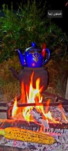 گاهی باید خودت را در اولویت
قرار دهی این خودخواهی نیست
این