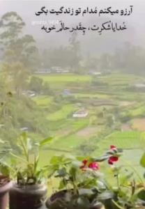 آرزوم همینه به تک تک شما دوستان عزیزم 