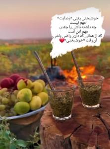 خوشبختی یعنی...
