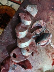 به به خوردن داره