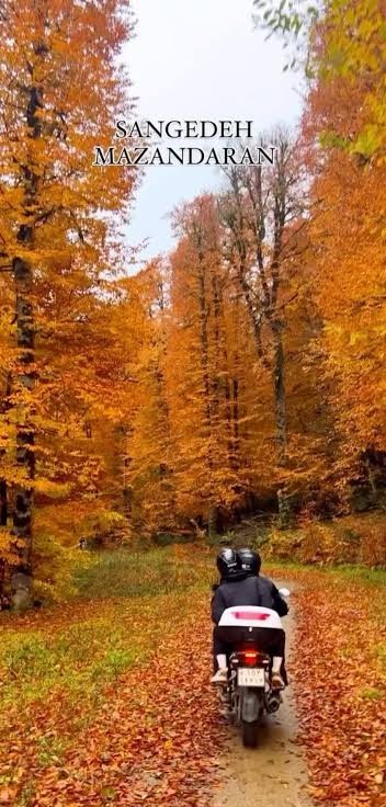 مگه میشه پاییز باشه و تو نباشی🤎🧡💛