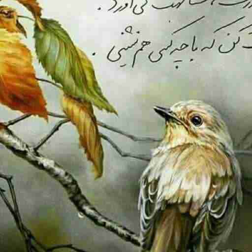 مجاورت، مشابهت می‌آورد

دقت کن که با چه کسی هم‌نشینی