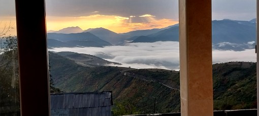 سکوت مطلق پاییز....