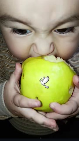 صفا باشید... 🤞🕊🍁