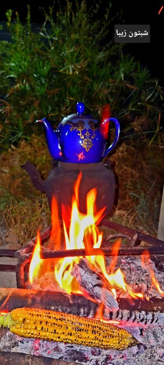 گاهی باید خودت را در اولویت
قرار دهی این خودخواهی نیست
این