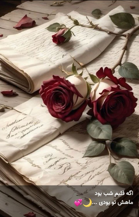 اگر قلبم شب بود تو ماهش بودی M🫀❤️