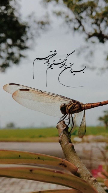 گذشتیم و گذشتیم