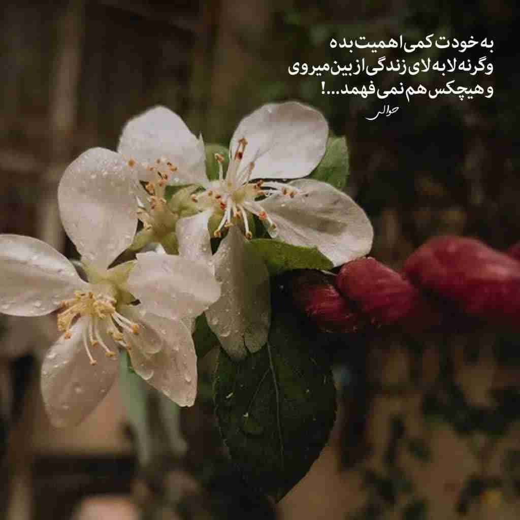 اهمیت بده....