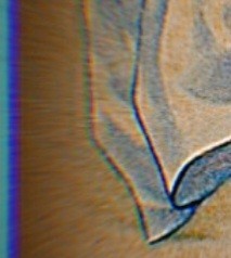 +نصف مخاطبا+