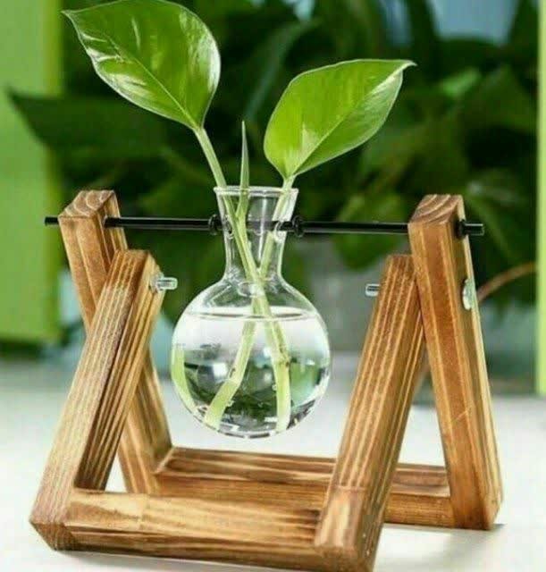 خودمونو نباید.  .  .  